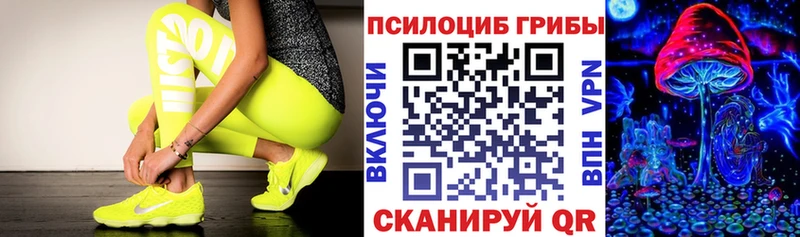 Псилоцибиновые грибы Psilocybe  где продают наркотики  Кимовск 